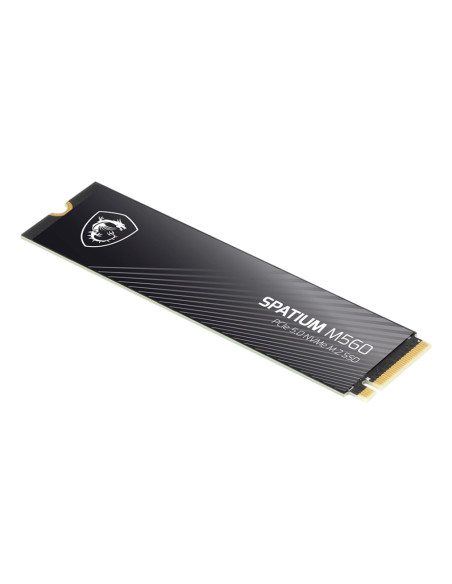 MSI Spatium M560 PCIE 5.0 NVME M.2 1TB drives allo stato solido PCI Express 5.0 3D NAND