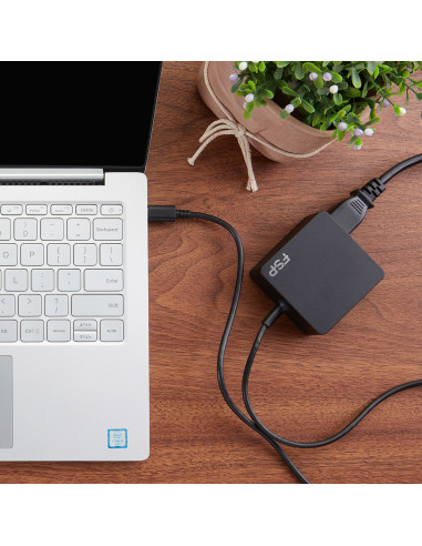 FSP NB C adattatore e invertitore Interno 65 W Nero