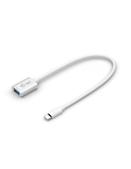 i-tec C31ADA cavo USB USB 3.2 Gen 2 (3.1 Gen 2) 0,2 m USB C USB A Bianco