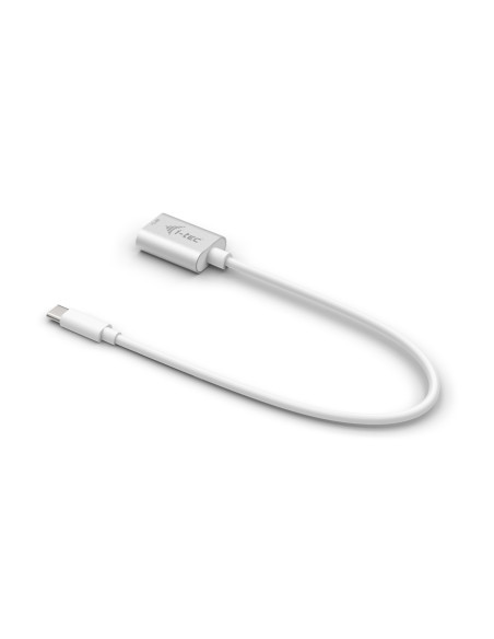 i-tec C31ADA cavo USB USB 3.2 Gen 2 (3.1 Gen 2) 0,2 m USB C USB A Bianco