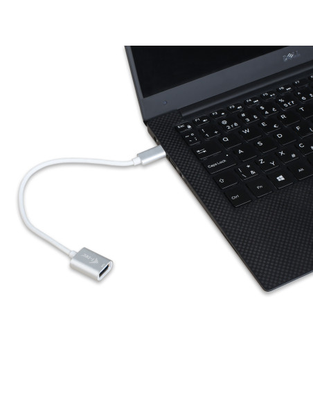i-tec C31ADA cavo USB USB 3.2 Gen 2 (3.1 Gen 2) 0,2 m USB C USB A Bianco
