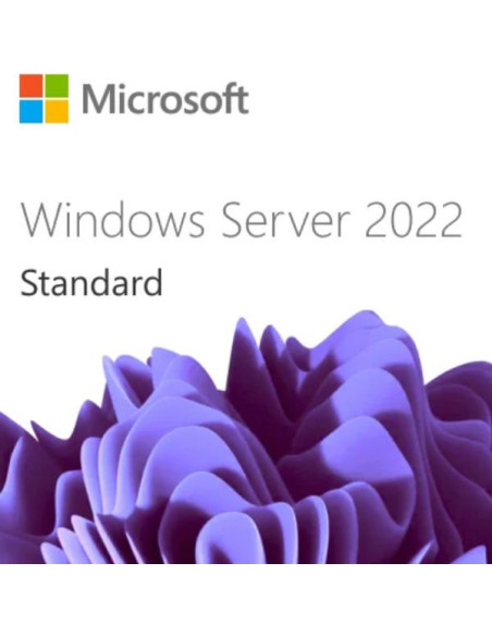 WIN SRV 2022 CAL 1 USER CAL 1 YEAR