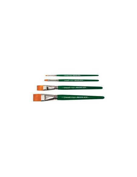 CF6PENNELLI SINT.  PIATTO N. 12