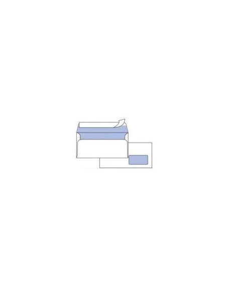 CF25 BUSTE EDERA C/FIN 11X23CM
