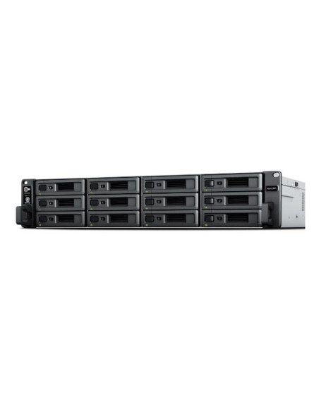 RS2423RP+