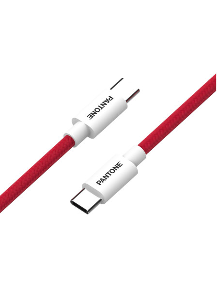 PANTONE USBC TO USBC CABLE RED