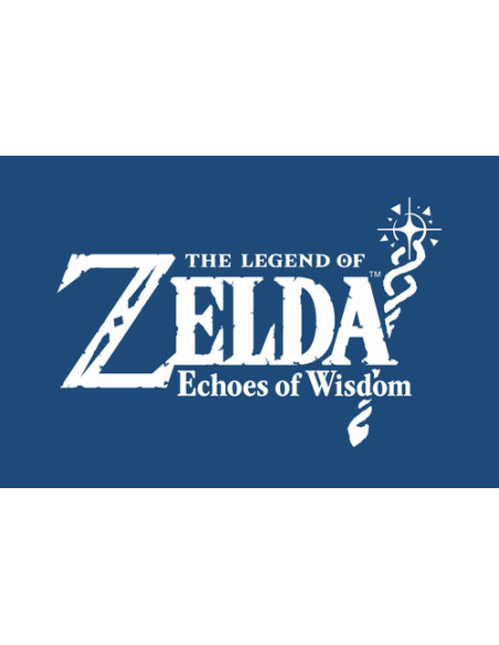 Nintendo The Legend of Zelda: Echoes of Wisdom