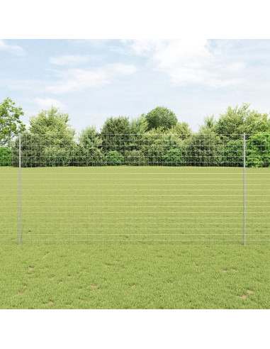 Recinzione con Posto Argento 1,6 x 10 m Acciaio