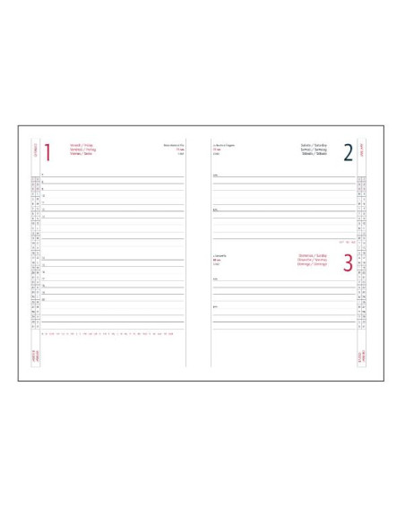 AGENDA DELTA GIORNAL.17X24 VERDE