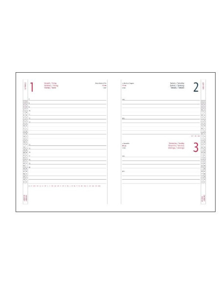 AGENDA GIORNALIERA 15X21 ALFA NERO