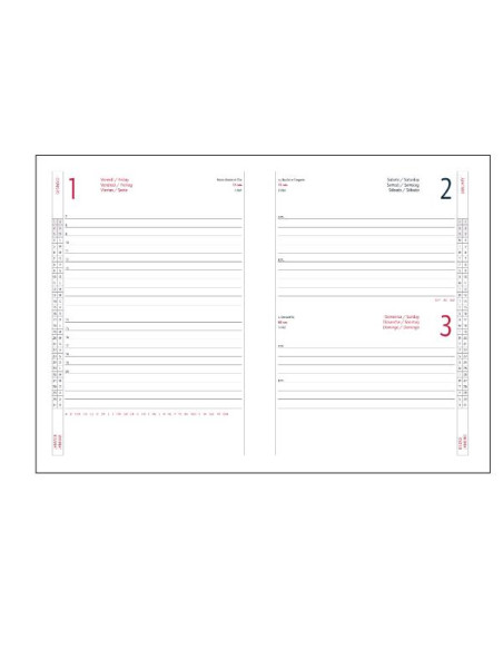 AGENDA GIORNALIERA 17X24 ALFA ROSSO