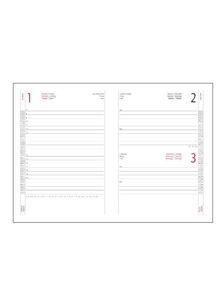 AGENDA GIORNALIERA 17X24 ALFA VERDE