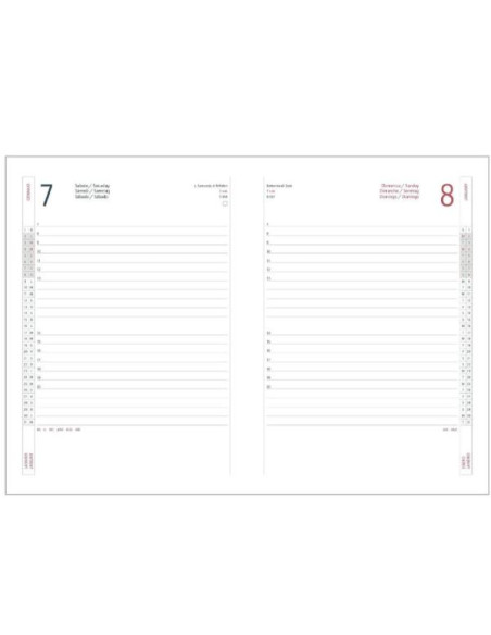 AGENDA DELTA GIORNAL.17X24 BORDEAUX