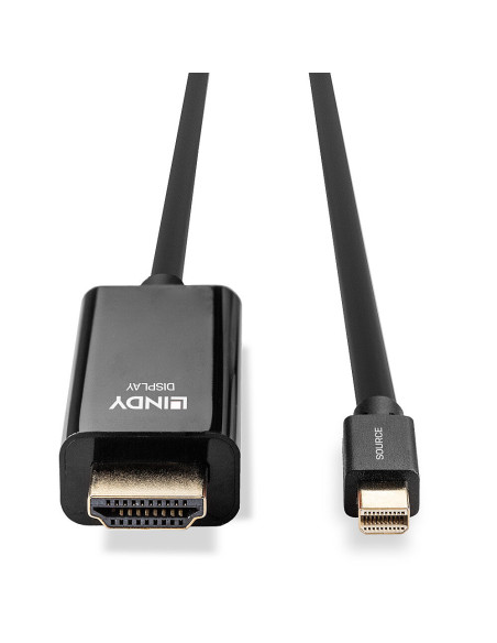 Lindy 36927 cavo e adattatore video DisplayPort HDMI tipo A (Standard) Nero
