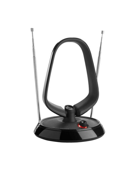 ANTENNA AMPLIFICATA INTERNO