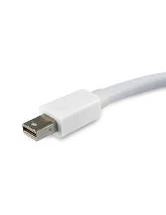 Equip Adattatore da Mini DisplayPort a DisplayPort, colore bianco 2