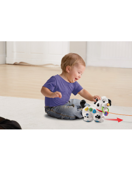 VTech Baby Macchia - 1,2,3, Canta e Cammina con me!