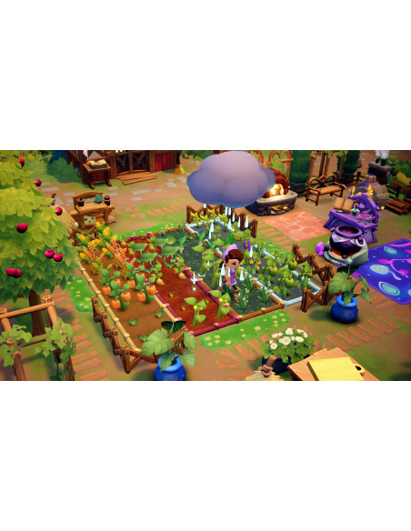 Nintendo Fae Farm Standard Cinese semplificato, Tedesca, Inglese, ESP, Francese, ITA, Giapponese, Coreano, Portoghese Nintendo S