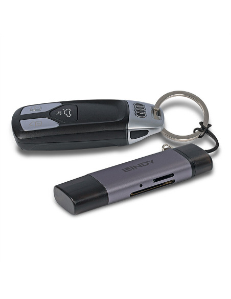 Lindy 43335 lettore di schede USB 3.2 Gen 1 (3.1 Gen 1) Type-A/Type-C Nero, Grigio