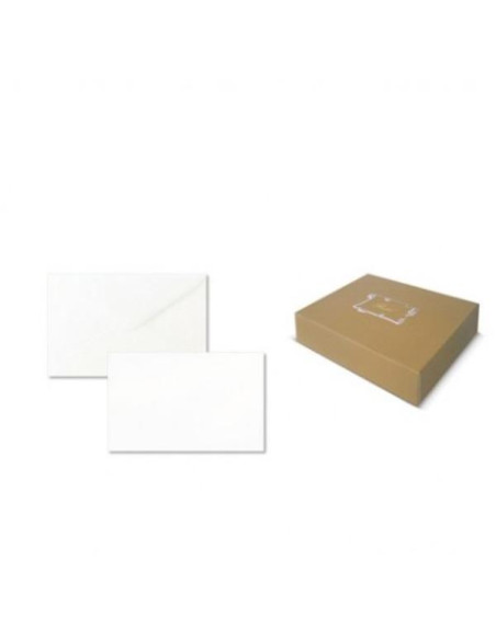 CF100BIGLIETTI BRISTOL 9X14CM BI