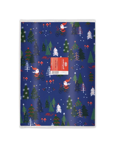 CF10 CARTA REGALO RASO BUSTE