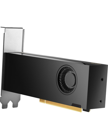 HP NVIDIA RTX PH x2xxx 4mDP Graphics