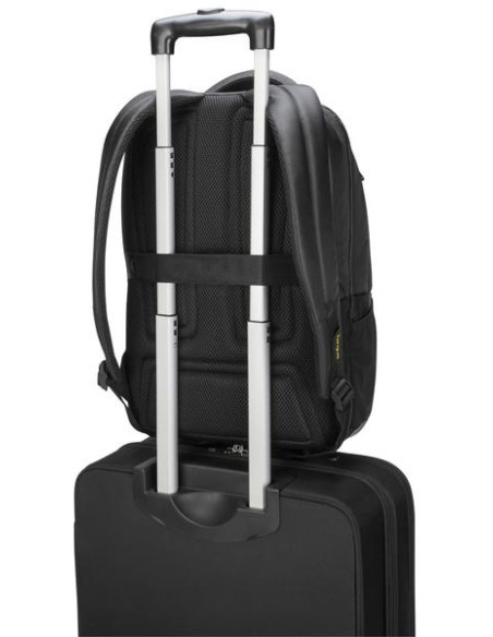Targus Citygear 43,9 cm (17.3") Zaino Nero