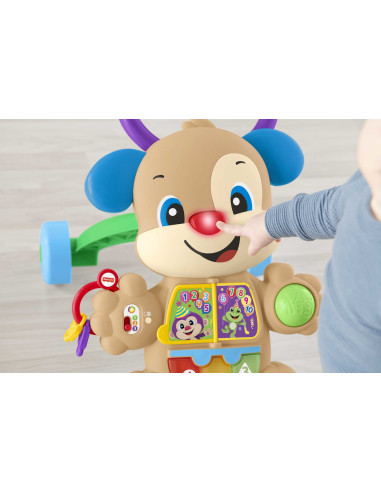 Fisher-Price Cagnolino Primi Passi - Ridi & Impara, Edizione multilingue, giocattolo musicale per camminare Giocattolo per Neona