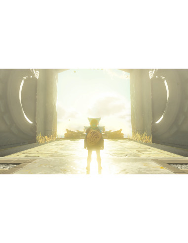 Nintendo The Legend of Zelda: Tears of the Kingdom Standard Nintendo Switch