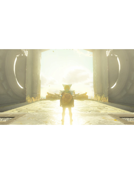 Nintendo The Legend of Zelda: Tears of the Kingdom Standard Nintendo Switch