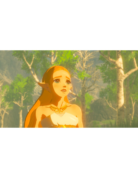Nintendo The Legend of Zelda: Breath of the Wild