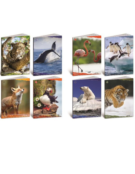 CF10 QUADERNO ANIMALI 100G A4 0A