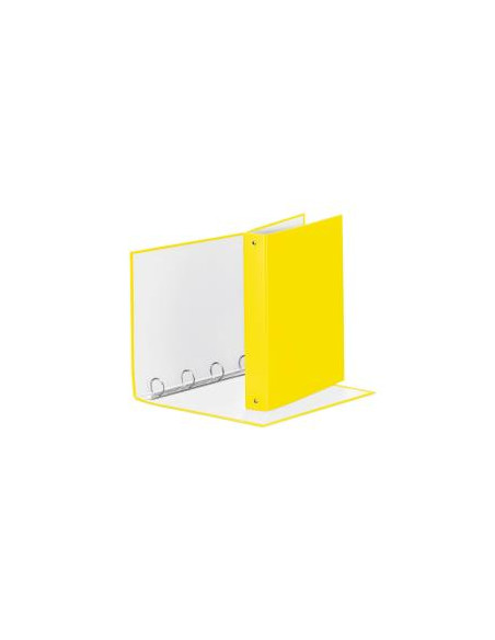 RACCOGL.MEETING 4R GIALLO VIVI22X30