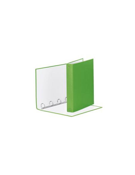 RACCOGL.MEETING 4R VERDE VIVID22X30