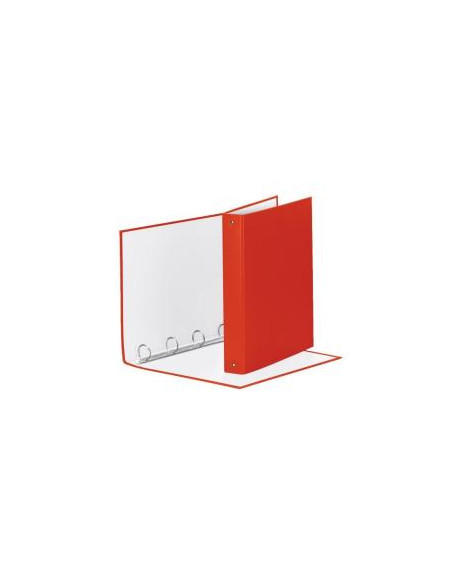 RACCOGLITORE MEETING 4R ROSSO 22X30