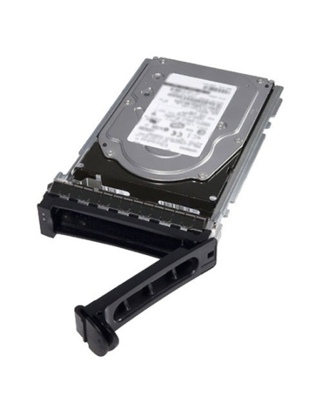 DELL 400-AUUQ disco rigido interno 2 TB 7200 Giri/min 3.5" NL-SAS