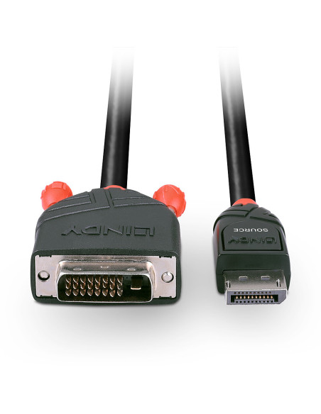 Lindy 41491 cavo e adattatore video 2 m DisplayPort DVI-D Nero