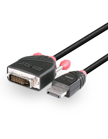Lindy 41491 cavo e adattatore video 2 m DisplayPort DVI-D Nero