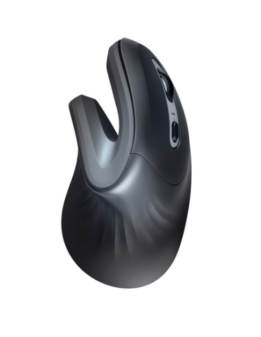 Trust Verro mouse Ufficio Mano destra RF Wireless Ottico 1600 DPI