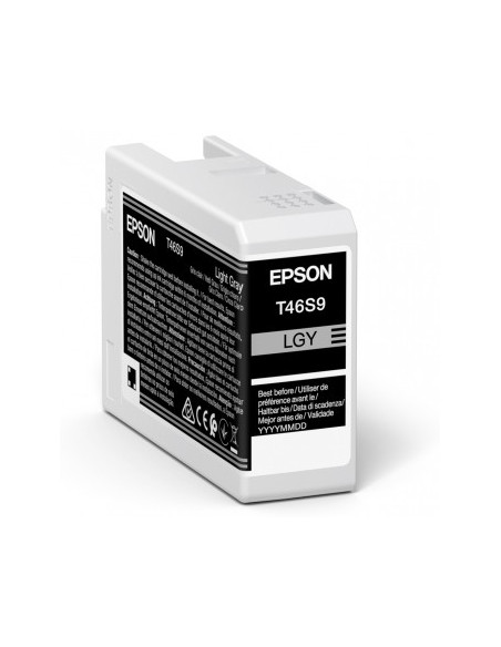 Epson UltraChrome Pro cartuccia d'inchiostro 1 pz Originale Grigio chiaro