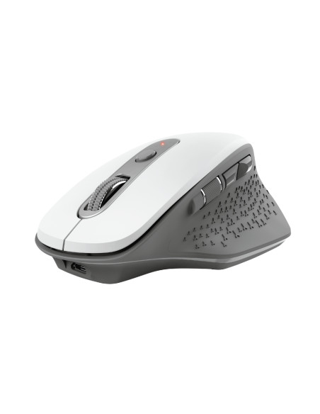 Trust Ozaa mouse Ufficio Mano destra RF Wireless Ottico 2400 DPI