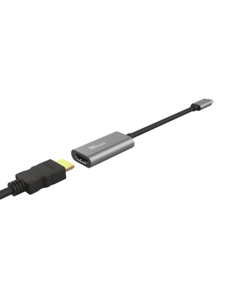 Trust Dalyx adattatore grafico USB Grigio