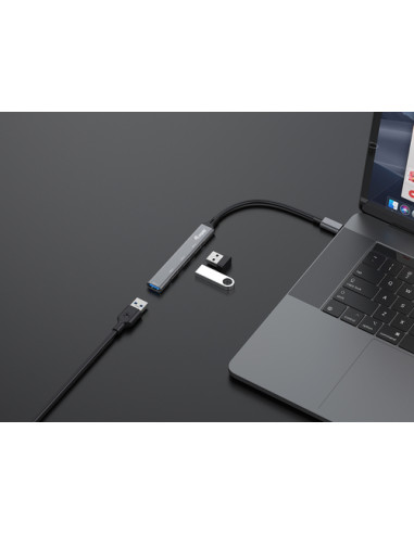 Equip 128961 hub di interfaccia USB 3.2 Gen 1 (3.1 Gen 1) Type-C 5000 Mbit/s Nero, Grigio