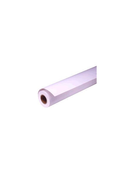 Epson Carta fotografica lucida Premium(250), in rotoli da 40, 64cm x 30, 5m.
