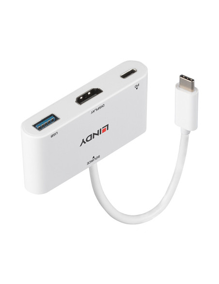 Lindy 43340 adattatore grafico USB 3840 x 2160 Pixel Bianco