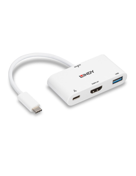 Lindy 43340 adattatore grafico USB 3840 x 2160 Pixel Bianco