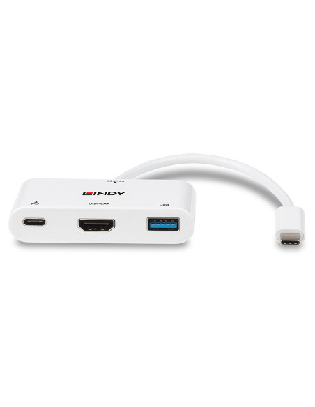 Lindy 43340 adattatore grafico USB 3840 x 2160 Pixel Bianco