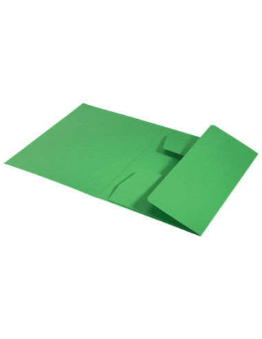 Leitz 39060055 cartella Cartone Verde A4