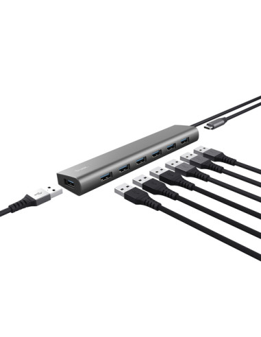 Trust Halyx USB 3.2 Gen 1 (3.1 Gen 1) Type-A 5000 Mbit/s Argento