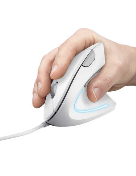 Trust Verto mouse Ufficio Mano destra USB tipo A Ottico 1600 DPI